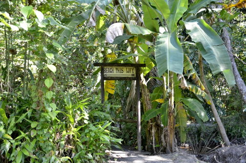 PK\'s Jungle Village - Hotel WA 23