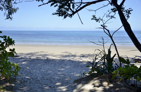 PK\'s Jungle Village - Hotel WA 26