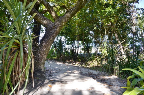 PK\'s Jungle Village - Hotel WA 28