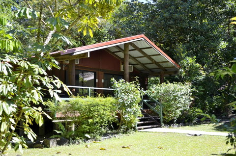 PK\'s Jungle Village - Hotel WA 21