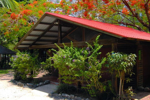 PK\'s Jungle Village - Hotel WA 10