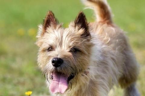 Sunrise Haven - Hotel WA 1