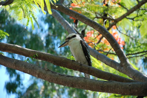 Sanctuary Palm Cove - Hotel WA 7