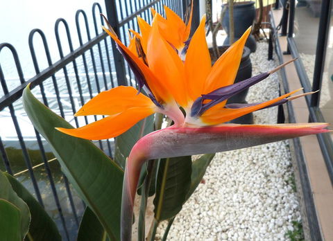 Gaia On Bribie Island - Hotel WA 24
