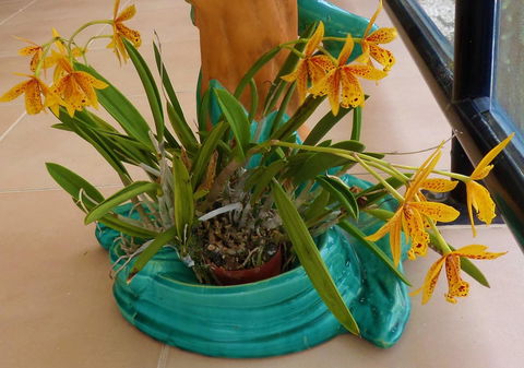 Gaia On Bribie Island - Hotel WA 44