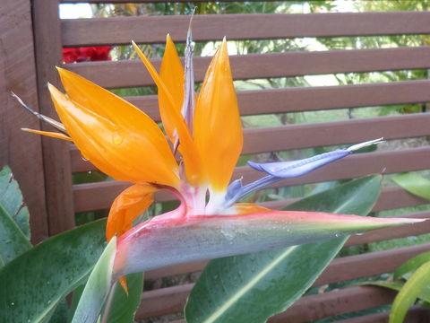 Gaia On Bribie Island - Hotel WA 38