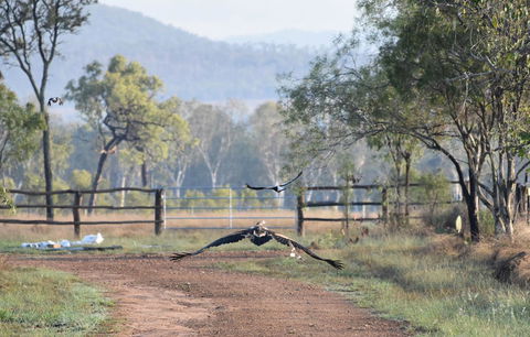 Ironbark House - Hotel WA 9