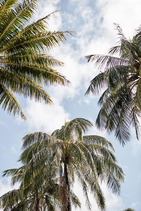 Novotel Cairns Oasis Resort - Hotel WA 9