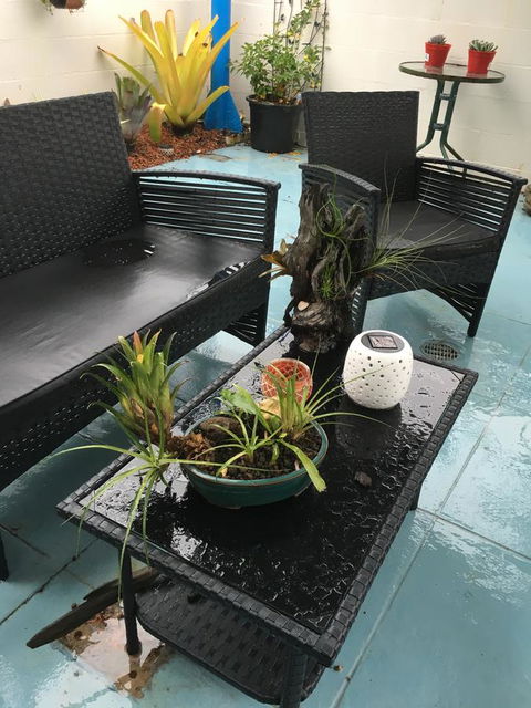 Black Marlin Motel - Hotel WA 3