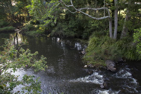 Bower 63 - Hotel WA 23