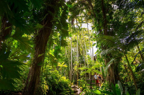 Cairns Colonial Club Resort - Hotel WA 22