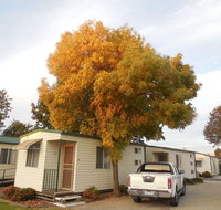 Wodonga Caravan  Cabin Park - Hotel WA