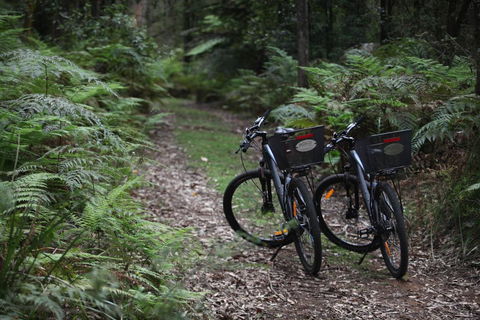 Woodlands Rainforest Retreat - Hotel WA 2