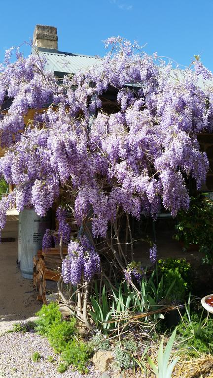 Woodvale At Cooma - Hotel WA 3