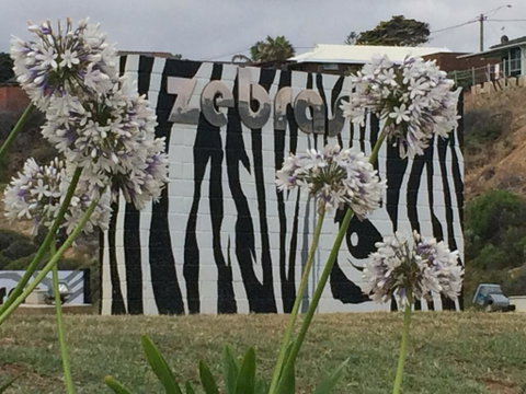 Zebras Guest House Geraldton - Hotel WA 0