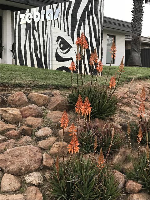 Zebras Guest House Geraldton - Hotel WA 1