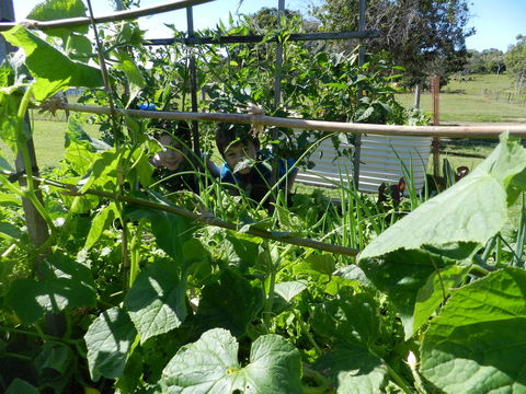 Hay Point Country BnB - Hotel WA 17
