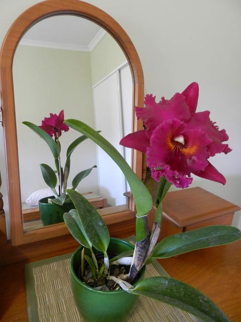 Hay Point Country BnB - Hotel WA 10