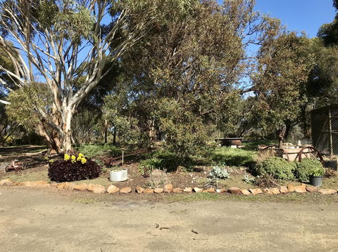 Beeâ€™s Place - 3 Bedroom Home On 10 Acres Of Land With Distant Ocean Views - Hotel WA 15