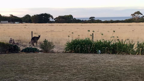 Beeâ€™s Place - 3 Bedroom Home On 10 Acres Of Land With Distant Ocean Views - Hotel WA 23