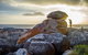 Sawyers Bay Shacks - thumb 8