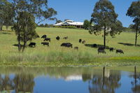 Book Nabiac Accommodation Vacations Hotel WA Hotel WA