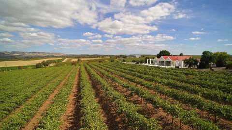 1837 Barossa Luxury Vineyard Cottages - Hotel WA 0