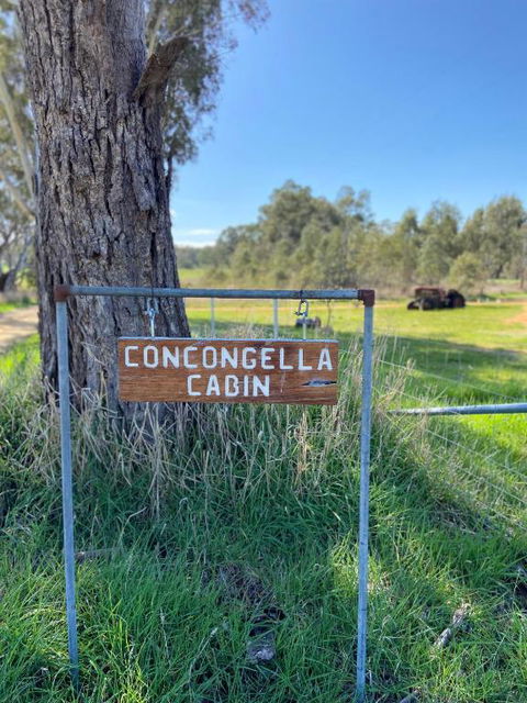 Concongella Cabin - Hotel WA 3