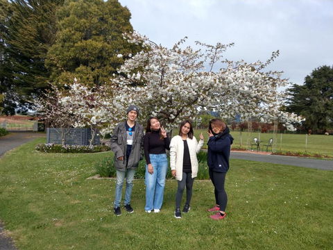 Cradle At Casa Blanca Country Retreat - Hotel WA 4