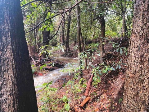 Crystal Cottage Retreat- Escape To The Hinterland! - Hotel WA 3