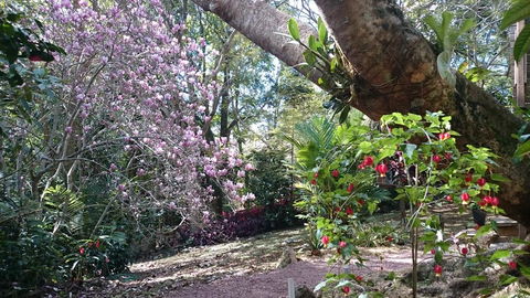 305 Montville - The Artist's Cottage - Hotel WA 3