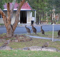 31 The Rocks - Hotel WA