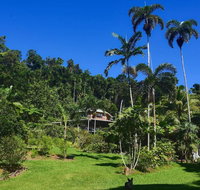 A Daintree Garden - Hotel WA