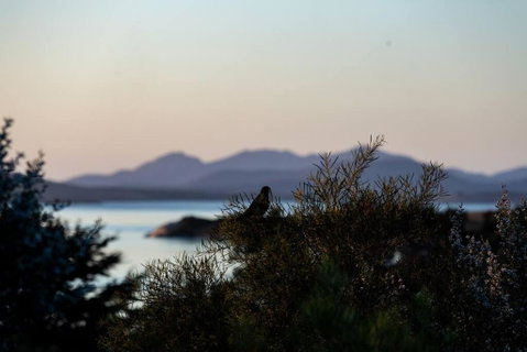 Faraway On Flinders Island - Hotel WA 4