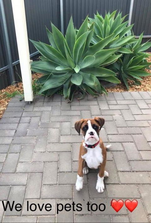 Gawler Townhouse U1 1 Bedroom - Hotel WA 2