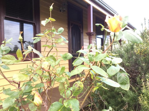 Albion Cottage - Hotel WA 0
