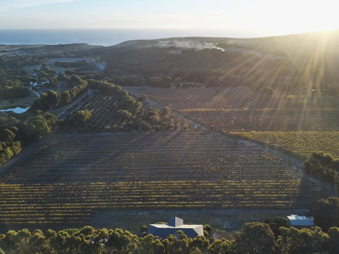 Arimia Estate Guesthouse - Hotel WA 1