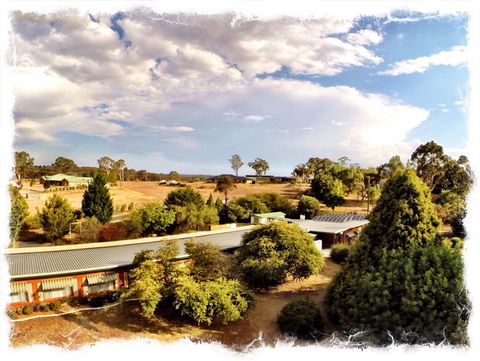 Armidale Rose Villa Motel - Hotel WA 1