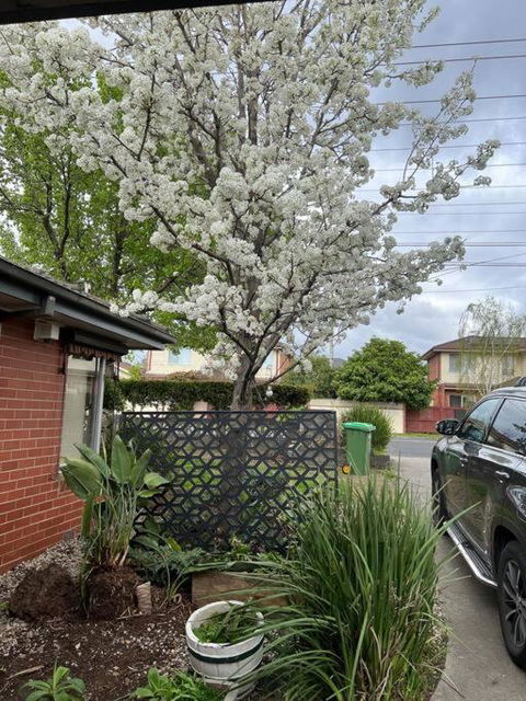 Newly Refurbished House- SuperFast Internet - Hotel WA 2