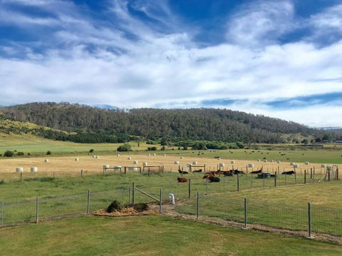 Old Entally Farm - Hotel WA 1