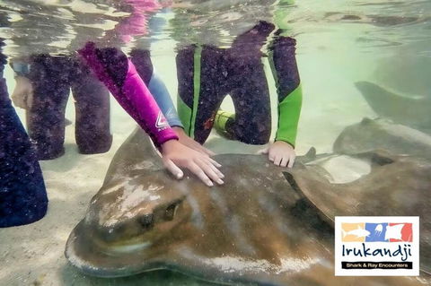 Peace In Paradise Near Nelson Bay- Waterviews, Spa, Adventures - Hotel WA 2