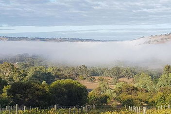 Pecan Hill BNB with Hotel WA