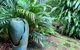 Palmwoods Eco Escape - thumb 2
