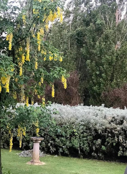 Pierrepoint Accommodation - Hotel WA 1