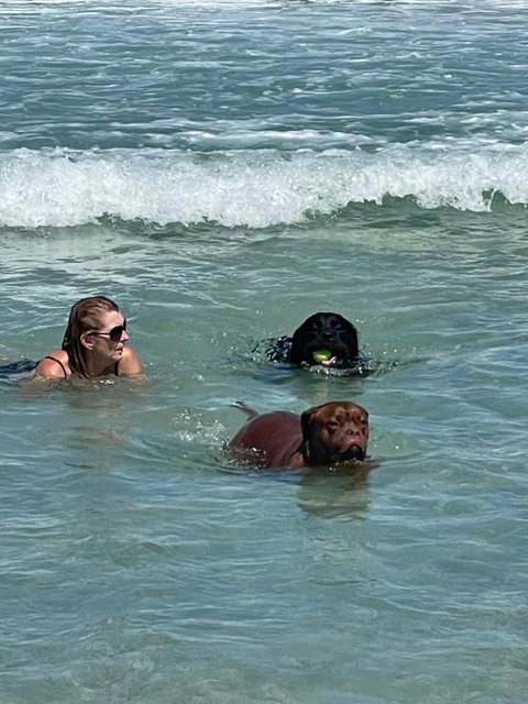 Quelle Vue Huskisson - Hotel WA 1