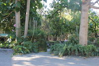 Book Macclesfield Accommodation Vacations Hotel WA Hotel WA