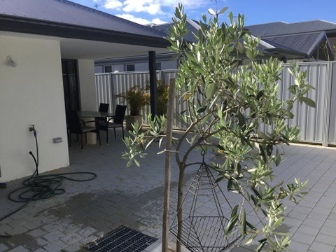 Azure@Ramada - Hotel WA 1