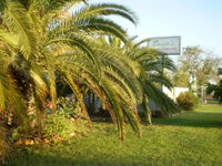 Book Winton Accommodation Vacations Hotel WA Hotel WA