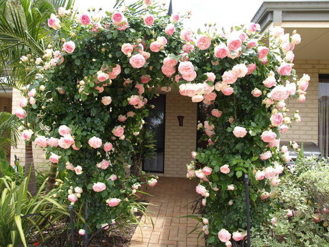 Baudins Of Busselton Bed And Breakfast - Hotel WA 0