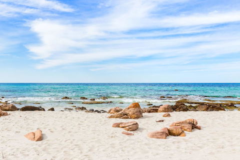 Beachfront On Eagle Bay - Hotel WA 2